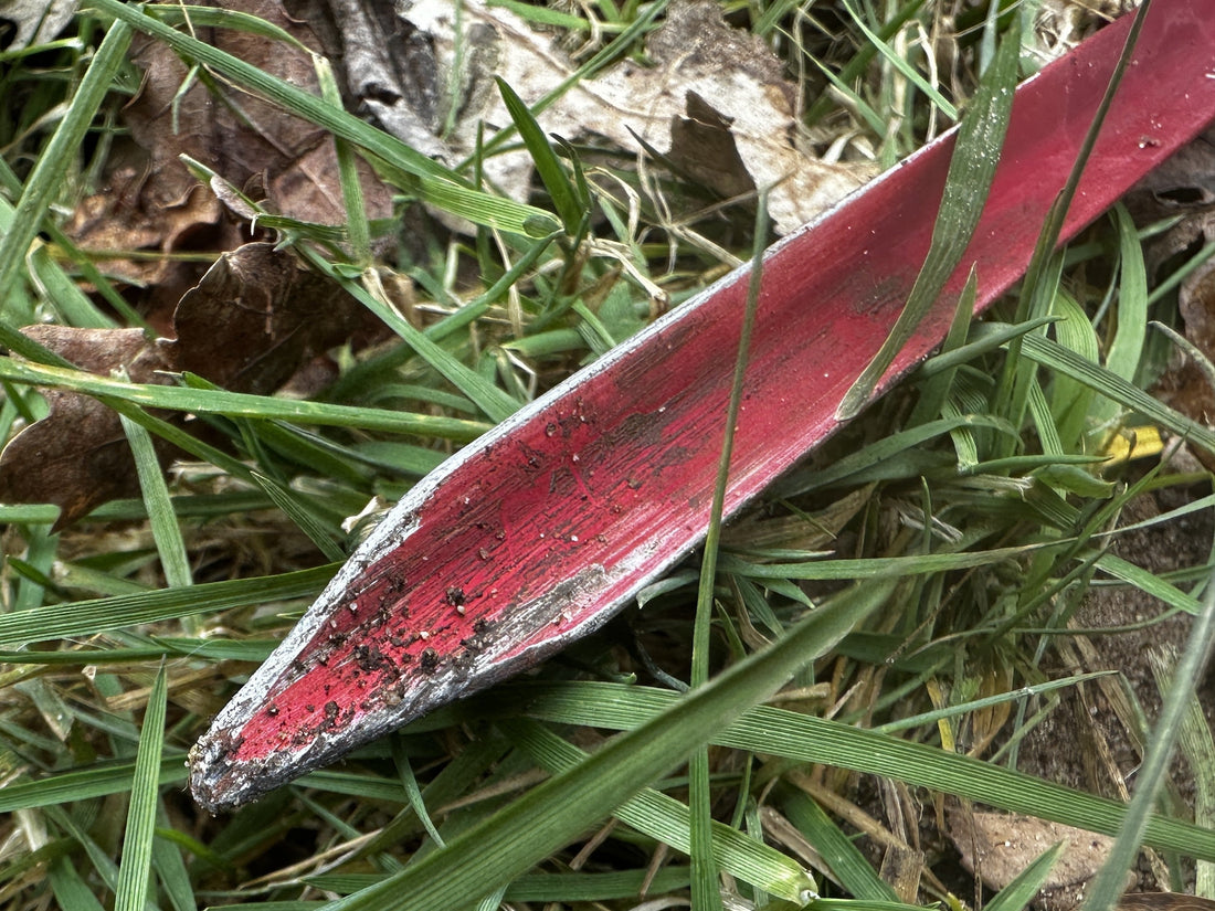 Littekens van jouw avonturen: beschadigde tentharingen