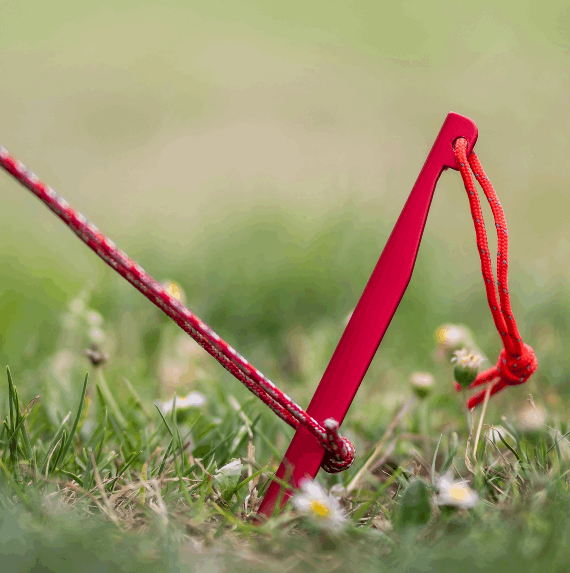 haring tent Haringboer® 16cm V-peg made of aluminum: lightweight tent pegs