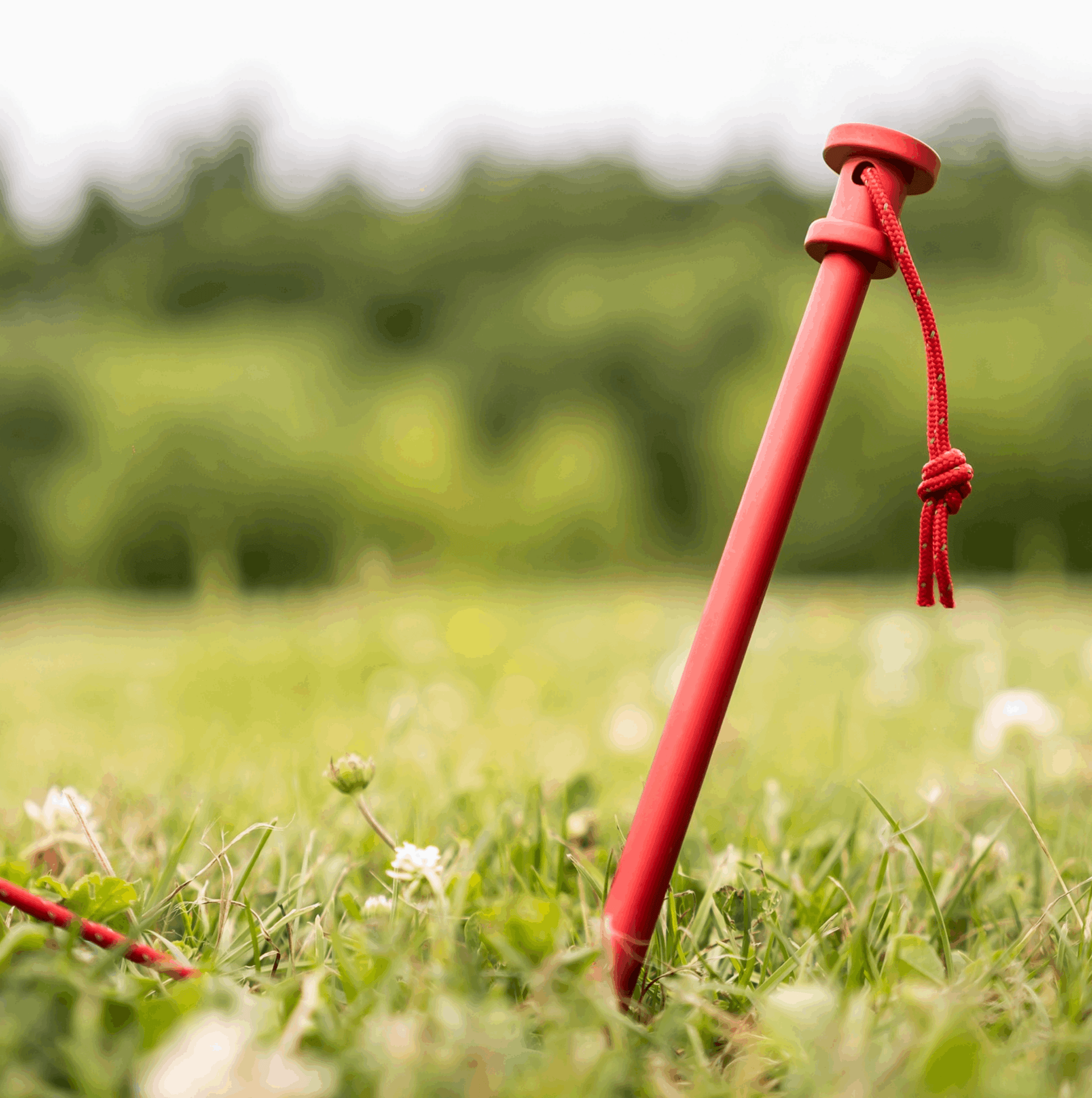 rotspennen tent Haringboer® Tent Pegs