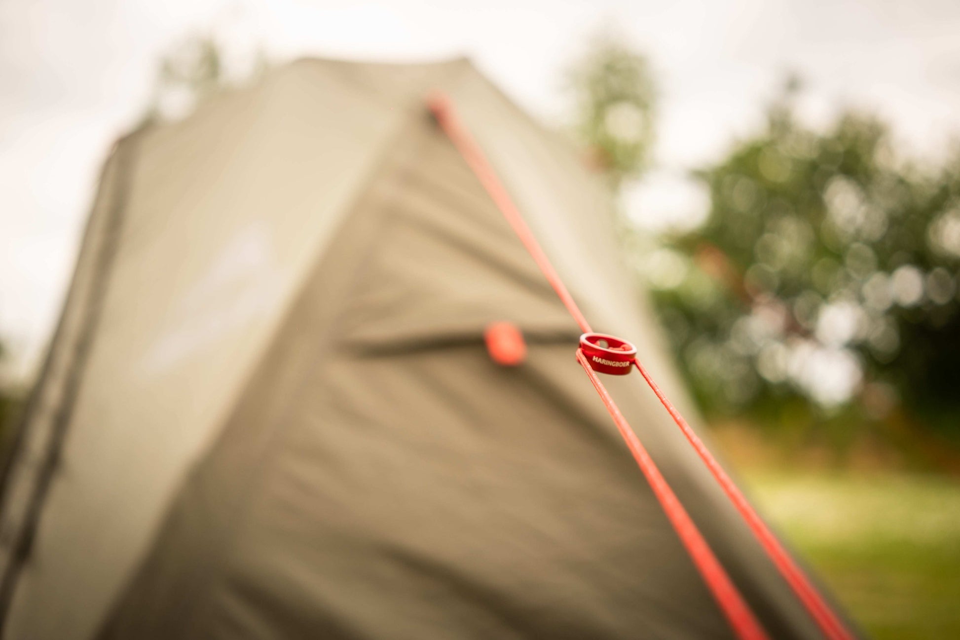 scheerlijnen tent bevestigen Haringboer® Scheerlijnen