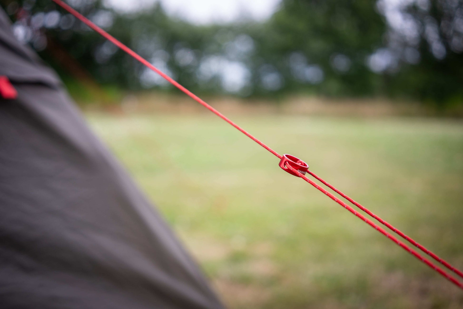 scheerlijn tent Haringboer® Guylines