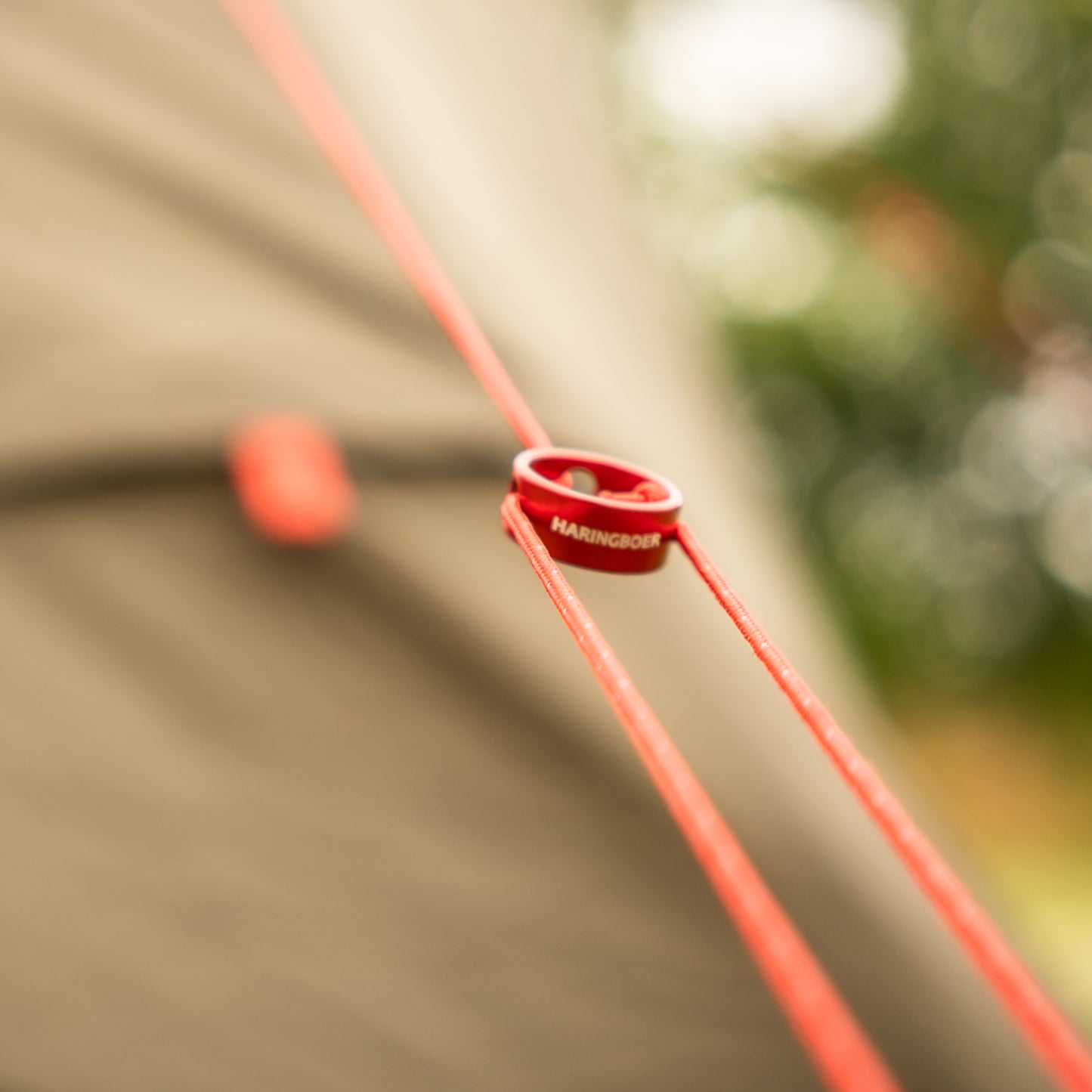 Scheerlijn (Ø2 mm | 3 m) met ronde spanner