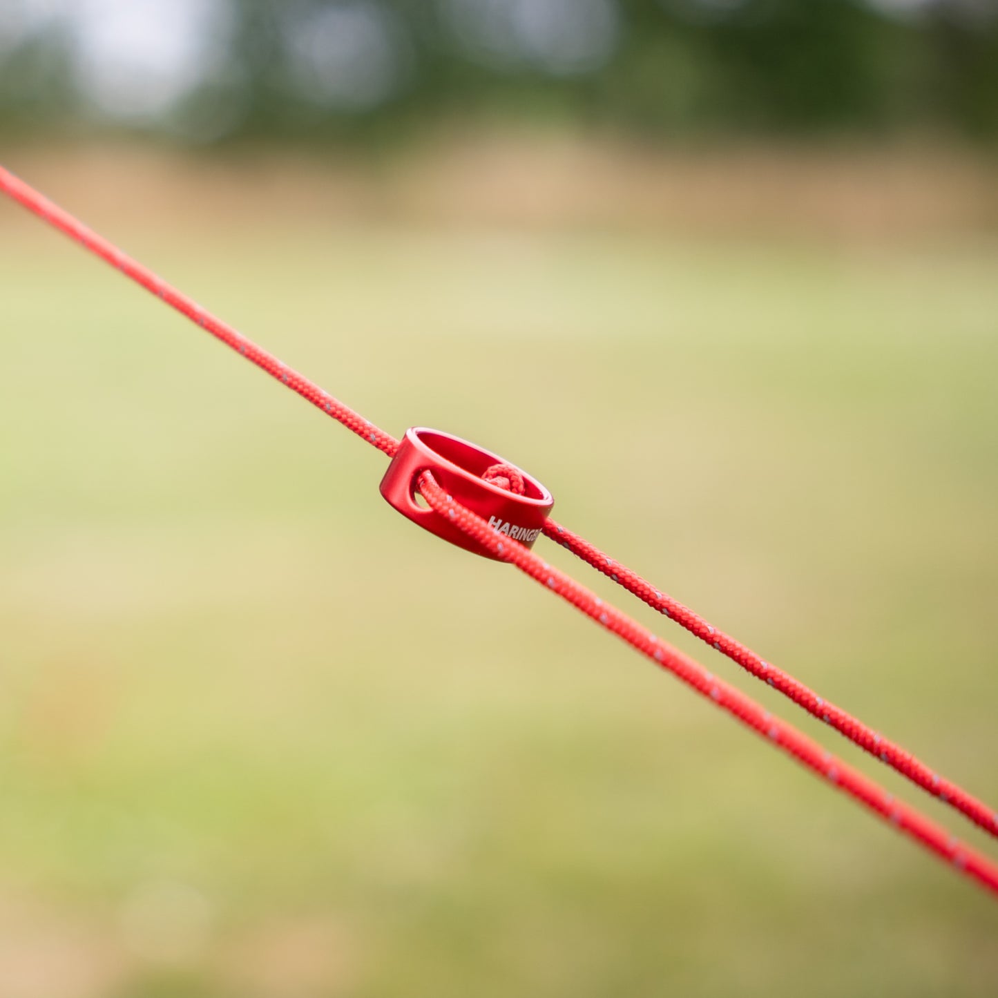 Scheerlijn (Ø2 mm | 3 m) met ronde spanner